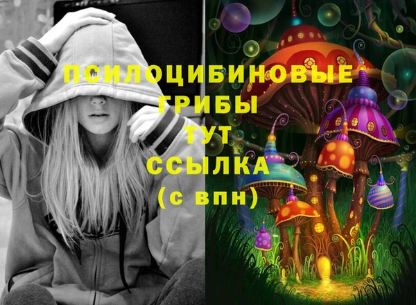 мдпв Алзамай