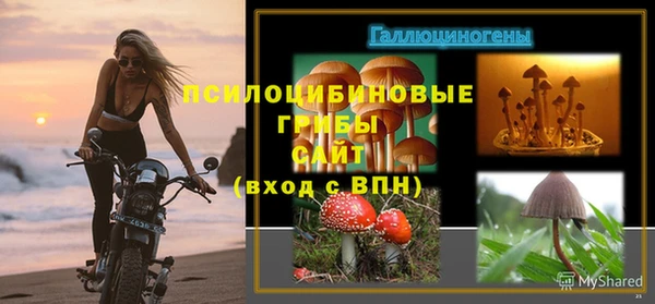 ECSTASY Алексеевка