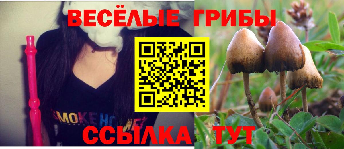 Галлюциногенные грибы ЛСД  Вход с VPN  Псилоцибиновые грибы мухоморы  цены   Урай 