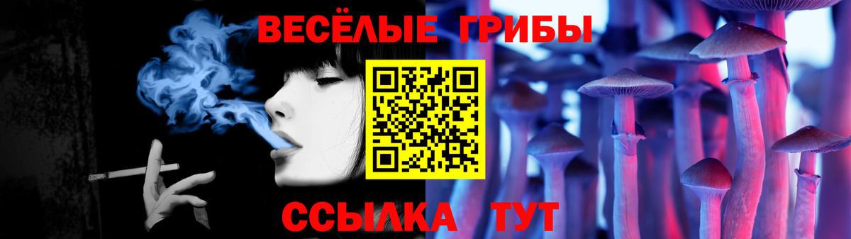 Псилоцибиновые грибы Psilocybe Урай